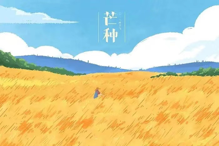 芒種 芒種(zhǒng)